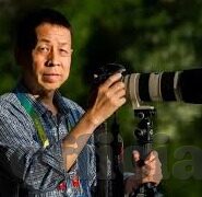 麻豆91在线免费观看-麻豆91的争议之路与网络伦理探讨
