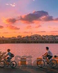 糖心app会员一个月-甜蜜与选择，糖心App会员一个月的体验之旅
